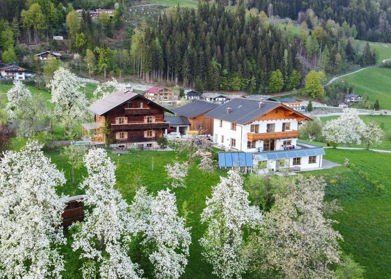 Ferienhaus Bognerhof ザンクト・ファイト・イム・ポンガウ エクステリア 写真