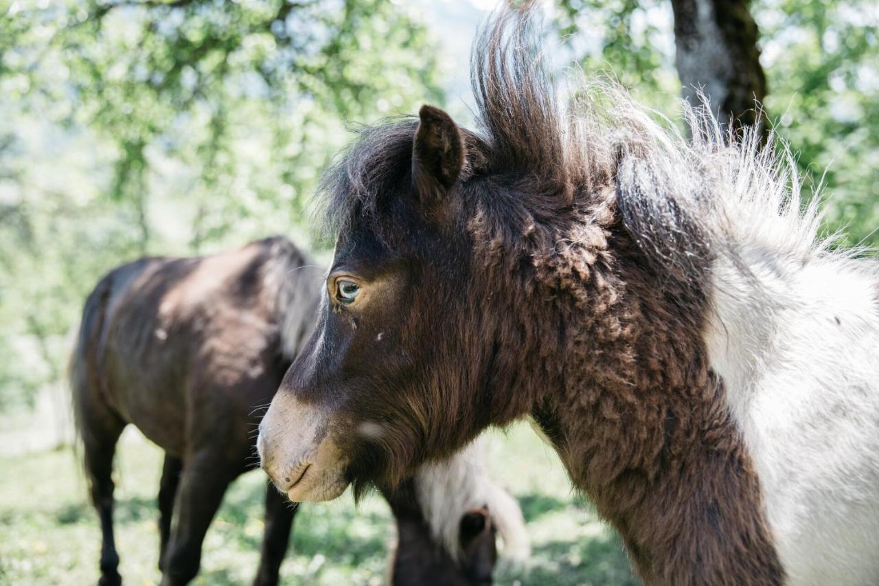 Ferienhaus Bognerhof ザンクト・ファイト・イム・ポンガウ エクステリア 写真